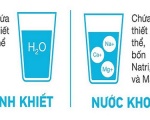 Cách Để Nhận Biết Nước Khoáng Và Nước Tinh Khiết