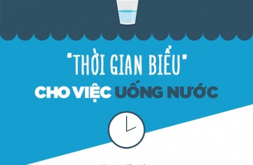 Thời gian biểu
